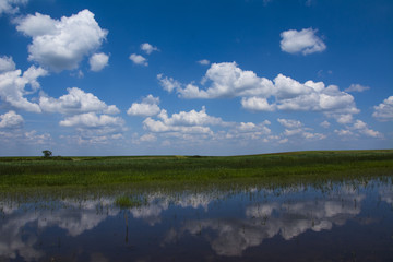 summer landscape with river and blue sky