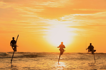 Fototapeta premium Silhouette of a stick fishermen at sunset, Unawatuna, Sri Lanka