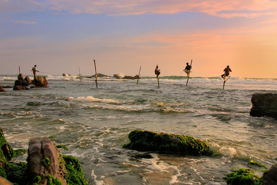 Famous stick fishermen in Unawatuna, Sri Lanka