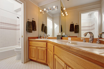 Bathroom vanity cabinet with two sinks and mirror