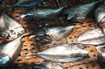 Sun Dried Mackerels