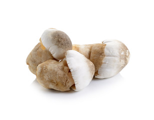 Fresh rice straw mushrooms