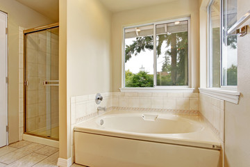 Fototapeta na wymiar Bath tub with windows