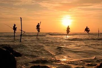 Foto op Plexiglas Silhouette of a stick fishermen at sunset, Unawatuna, Sri Lanka © donyanedomam