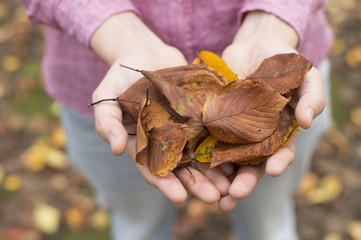 Women have with both hands and fallen leaves