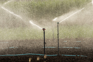 スプリンクラー