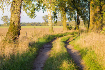 polna droga © Mike Mareen
