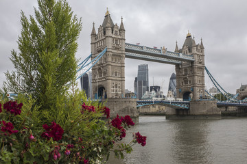 Fototapeta na wymiar Overcast view of Tower Bridge