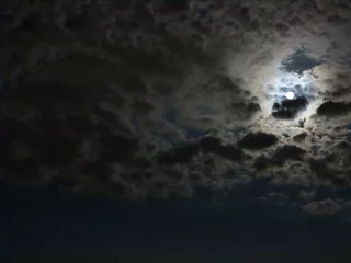 Fotobehang nachtelijke hemel © siloto