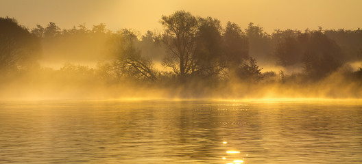 Mglisty ,słoneczny poranek nad rzeką