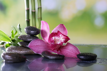 Fototapeta na wymiar Spa stones, bamboo branches and lilac orchid