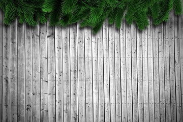 Fir branches on wooden planks