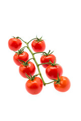 Tomato isolated on white