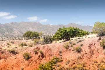 Landscape of Morocco