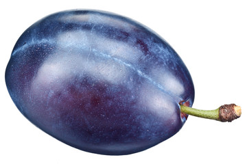 One plum isolated on a white.