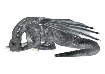 Fototapeta premium Resting Dragon