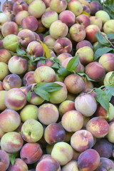 peaches on a shop window