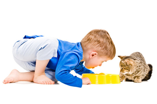 Boy eats a bowl of cat together with cat