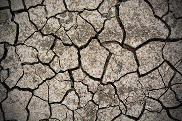 Cracks in the dried soil,Thailand