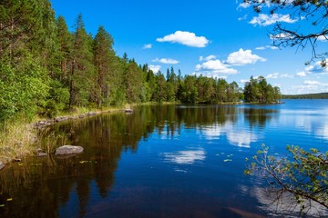 Fototapeta na wymiar pine forest reflection in the lake