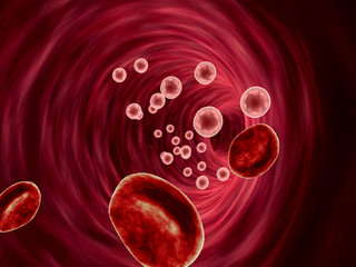 erythrocyte, blood cell