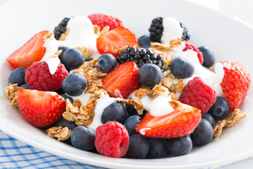 fresh berries, yogurt and muesli, close-up