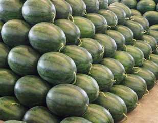 stackable watermelon in the market