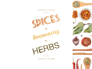 different spices and herbs on white background. top view