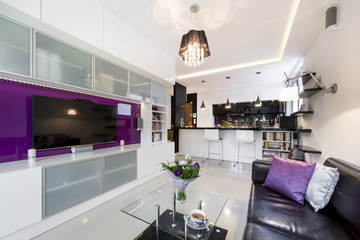 Modern living room with open kitchen