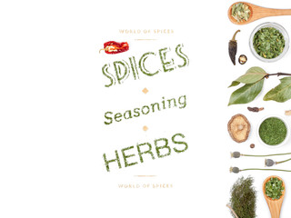 different spices and herbs on white background. top view
