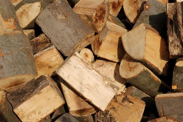 wood stumps as fuel