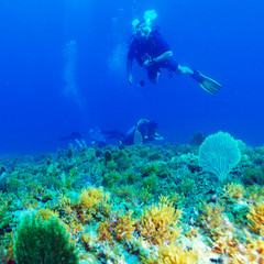 Fototapeta na wymiar Silhouette of Scuba Diver near Sea Bottom