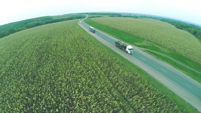 Aerial view. Winding roads, highway in autumn. Highway M7 Volga