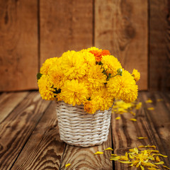 Fototapeta na wymiar Beautiful bouquet of yellow chrysanthemums flowers in wicker ba