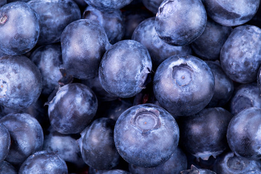 blueberries