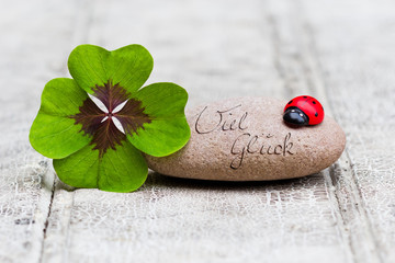 four leaf clover and ladybug with stone on wood, Viel Glück