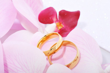 Zwei Ringe mit Orchidee