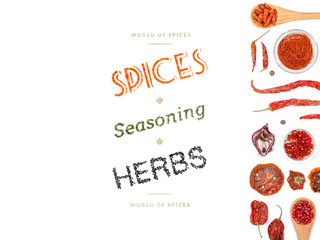 different spices and herbs on white background. top view