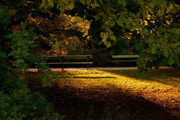 Autumn colorful landscape