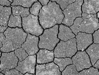 Cracks in the dried soil,Thailand
