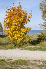 Beautiful autumnal scenery