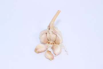 garlic