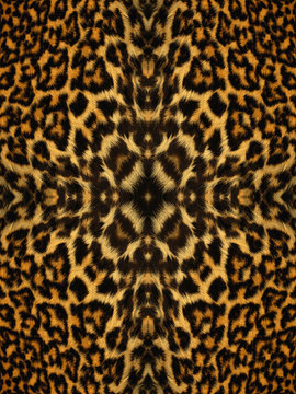 Kaleidoscope Animal Fur Pattern