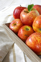 Red autumn apples on gray tray