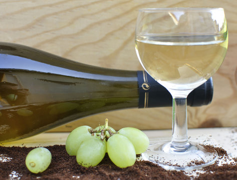 Vin Blanc de Bourgogne