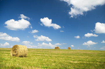 Bales of hay in a large field.