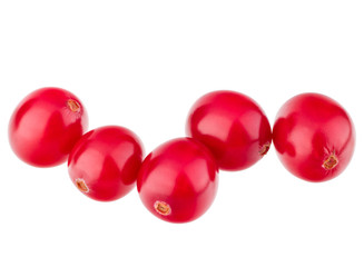 cranberry  isolated on white background cutout