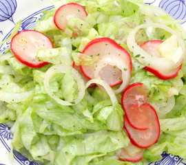 Blattsalat mit radieschen