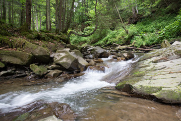 Naklejka na ściany i meble Small Carpathian stream