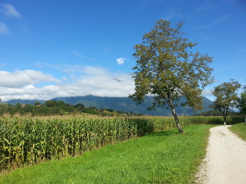 Paesaggio bellunese
